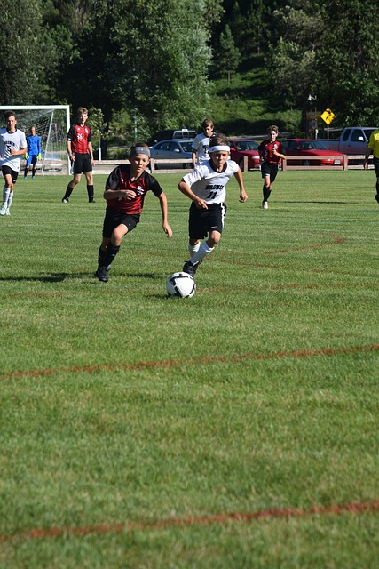 在体育领域 在体育领域