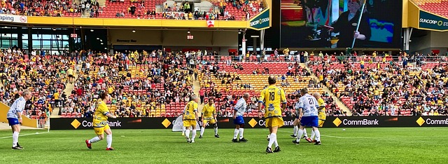 的桥梁作用 的桥梁作用