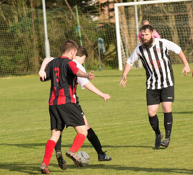 也起到了不 也起到了不