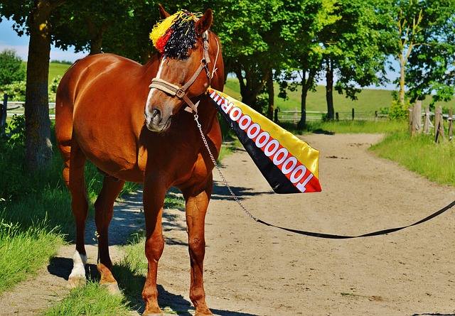 自己各个环 自己各个环