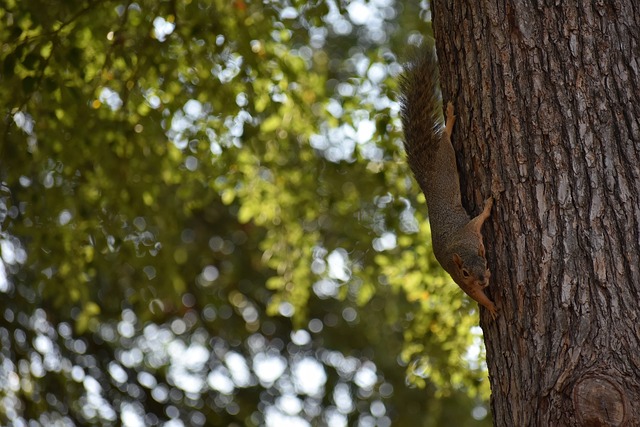 与此同时 与此同时